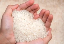 Pemerintah Naikkan Harga Beras Medium