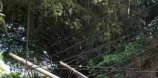 Tiang Listrik Tumbang di Jalan Singosari Pematangsiantar Akibat Hujan Deras