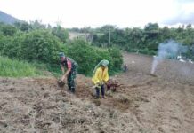 Babinsa Koramil 12/Saribu Dolok Bantu Warga Olah Lahan Pertanian di Nagori Ujung Saribu