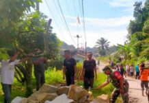 Babinsa dan Warga Kompak! melaksanakan Gotong Royong di Nagori Marihat Bukit