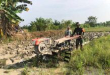 Babinsa Koramil 07/Bosar Maligas Dampingi Petani Tingkatkan Produksi Padi di Simalungun