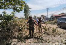 Personel Koramil 08/Bangun Lanjutkan Kegiatan Pemotongan Pohon Rawan Tumbang di Jalan Asahan