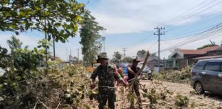Personel Koramil 08/Bangun Lanjutkan Kegiatan Pemotongan Pohon Rawan Tumbang di Jalan Asahan