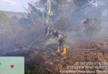 Kebakaran Hutan Terjadi di Lereng Bukit Dolok Suara, Babinsa dan Damkar Simalungun Bergerak Cepat Padamkan Api