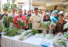 Wali Kota Wesly Silalahi: Pangan Lokal Kekuatan, Pekarangan Lestari Benteng Ketahanan Pangan