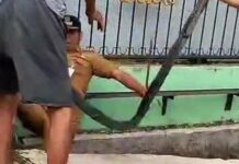 Gara-gara Polisi Tidur, Lurah di Medan Masuk Parit Didorong Warga