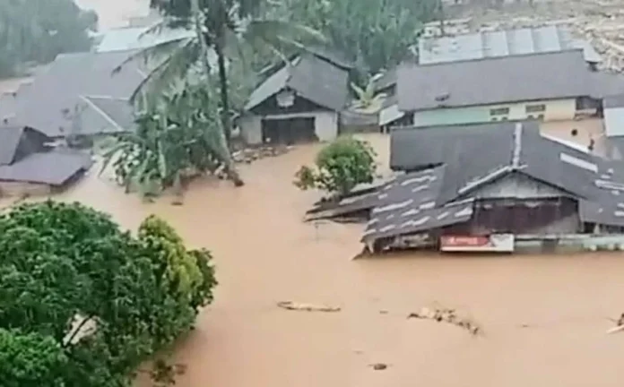 586445469