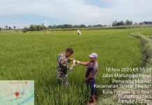 Babinsa Tinjau Lahan dan Beri Dukungan Kepada Petani di Tengah Perbaikan Irigasi