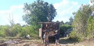 Hutan Simalungun Terancam, PROGIB Minta Aparat dan Instansi Perkuat Pengawasan