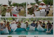 Panen Raya Jagung di Sergai, Bupati Darma Wijaya dan Yonif TP 902 Perkuat Ketahanan Pangan